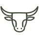 BullCare
